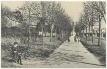 The Promenade by the River Usk, Brecon, 1900s