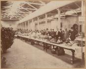 Flower show in Brecon, 1890s