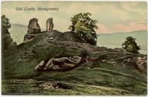 Montgomery Castle remains