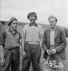 Workers harvesting potatoes at Foesidoes farm,...