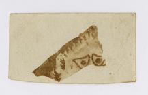 Mediaeval tile fragment from excavation of St...