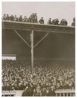 The crowd at the Wales v Scotland rugby...