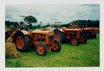 Cutting corn at Penmaenbach, Pennal