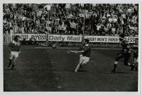 Llanelli centre Ray Gravell passes the ball to...