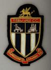 Ebbw Vale Cricket Club blazer badge, 20th century