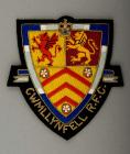 Cwmllynfell Rugby Football Club blazer badge,...