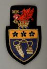 Trinity College Carmarthen blazer badge, 20th...