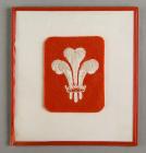 Welsh Feathers blazer badge