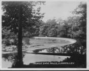 Llangollen. The Horseshoe Falls