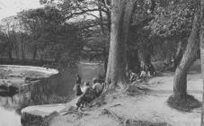 Llangollen. The Horseshoe Falls