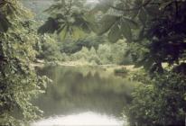 Llangollen. Horseshoe Falls