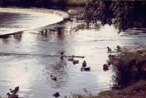 Llangollen. Horseshoe Falls