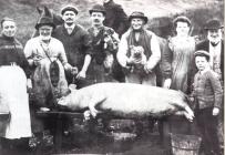 Pig killing, Maescar c. 1900