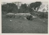 Burial Chamber, Glyn, Benllech