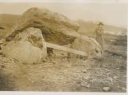 Burial Chamber, Pant y Saer, Tynygongl