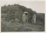 Burial Chamber, Bryn Celli Ddu