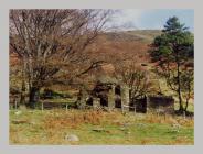 Esgair Milwyn ruins