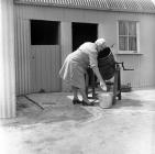 Buttermaking in a churn, Cardigan