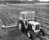 David Brown Tractor cutting grass
