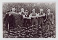 Hedgelaying Competition