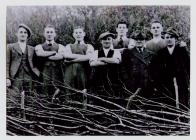 Siliau YFC members taking part in the hedge...