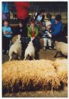 Capel Cynon Primary School children on the farm