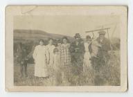 Making hay at Pantyrefail farm, Ffostrasol c.1930