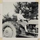 Ferguson tractor on Dolwerdd farm, Talley c.1956