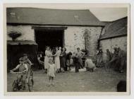 Sheep shearing day in the Pontrhydfendigaid area