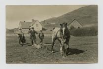 Ploughing behind the school in Cwmystwyth