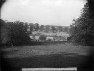 kitchen garden at Plas Coed-coch, Betws-yn-Rhos