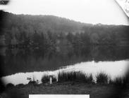 lake, Bryngwyn, Llanfyllin