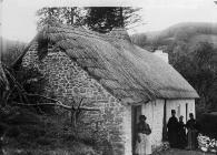 Rees' cottage, ?Llanfihnagel-yng-Ngwynfa