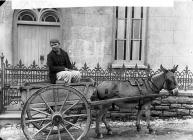 man in a cart drawn by a donkey (Lewis)