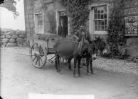 man and a cart drawn by donkeys (Watkins),...