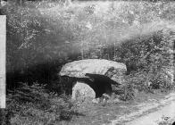 cromlech, Llanbodiy