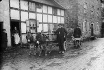 Charles and his mules, Meifod
