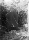 grave of Revd John Jones (Tegid, 1792-1852),...