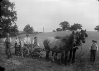 Haymaking