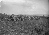 Line of tractors ploughing