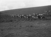 Line of tractors ploughing