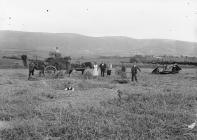 Haymaking