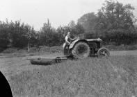 Man with tractor and roller
