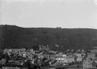 Knighton from the Frydd