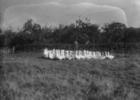 Henry Pritchard, Boughrood Court Farm, with a...