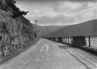 Elan Valley road