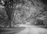 Clungunford Hall driveway