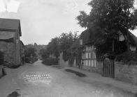 Rosemary Lane Leintwardine