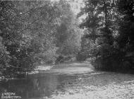 River Teme Monaughty-Poeth