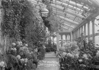 'The conservatory' 'Hesterworth&...
